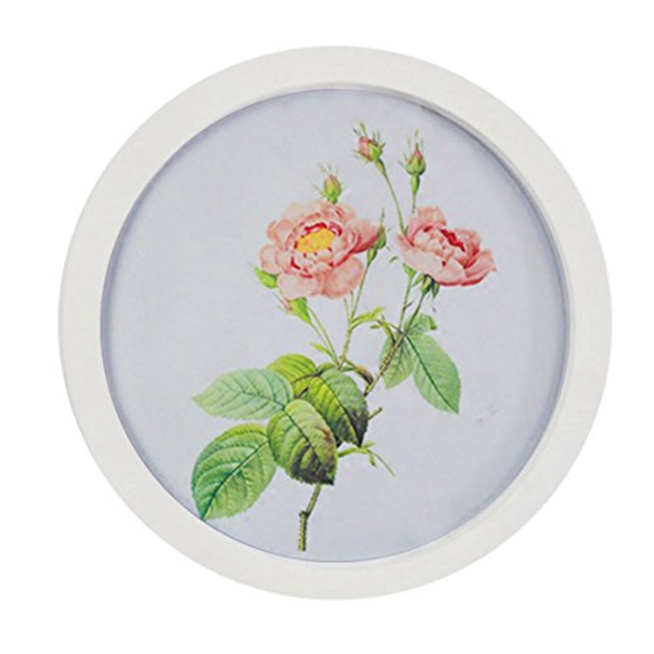 Round picture best sale frames michaels